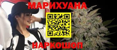 индика Обь