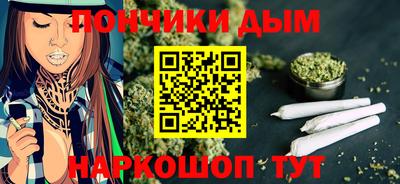 индика Обь