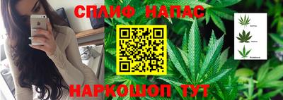 скорость Новодвинск