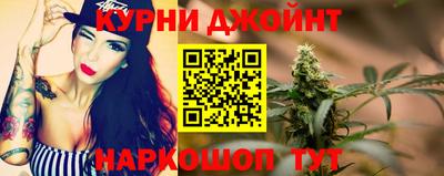 индика Обь